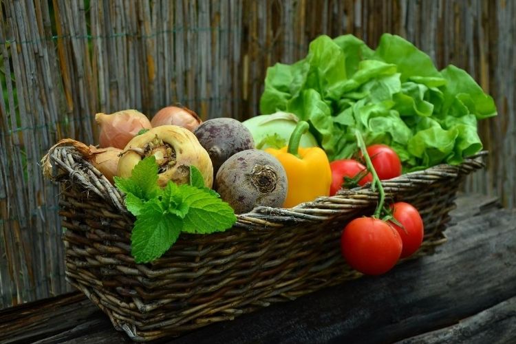 Vegetables for Your Garden